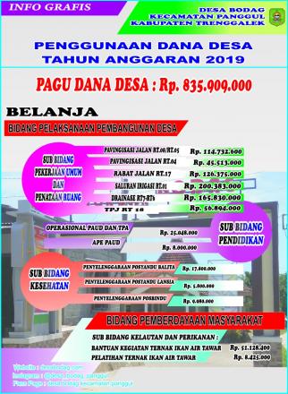PENGGUNAAN DANA DESA TAHUN ANGGARAN 2019
