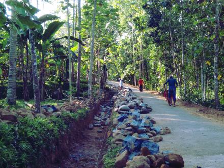 Desa 1